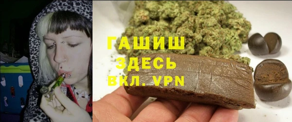 гашик Верея