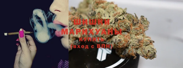 гашик Верея