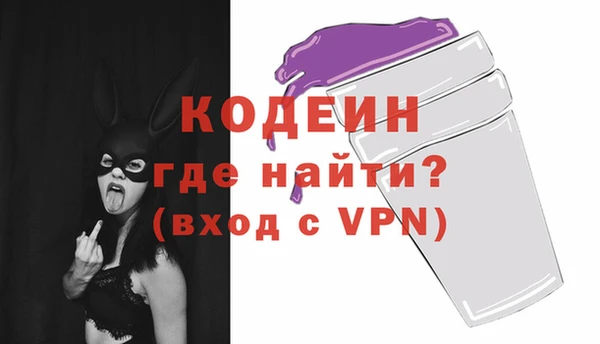 гашик Верея