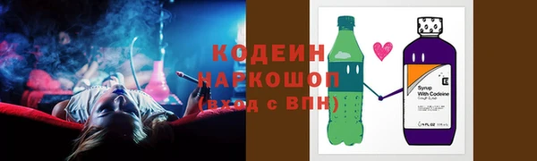 гашик Верея