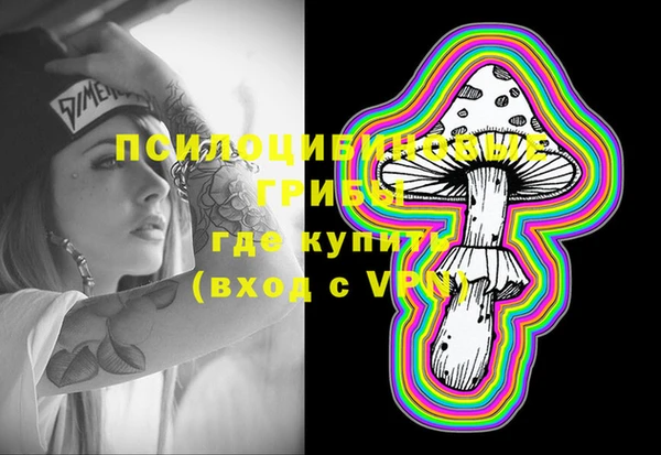 гашик Верея