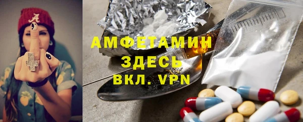 гашик Верея