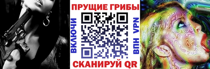 Псилоцибиновые грибы Magic Shrooms  где купить наркоту  Карачев 