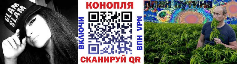 сколько стоит  Карачев  Марихуана план 